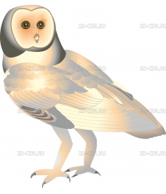 BARNOWL2