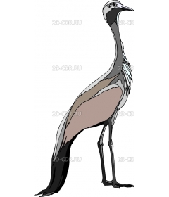 BIRD16