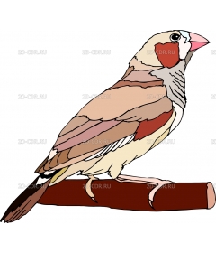 BIRD93