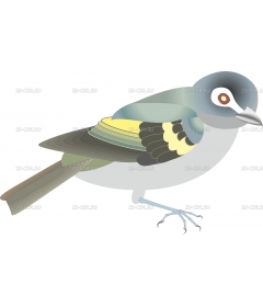 BLCVIREO