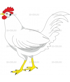 CHICKEN