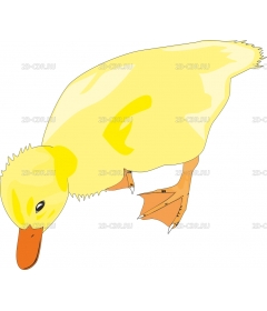 DUCKBAB