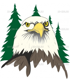 EAGLEFAC