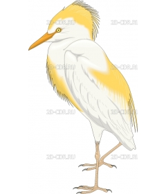 EGRET