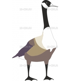 GOOSE