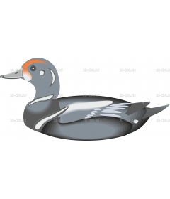 HARLDUCK