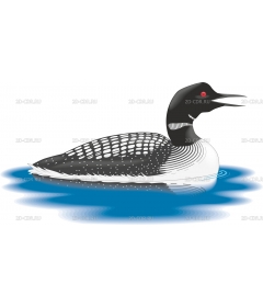 LOON