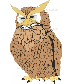 OWL2