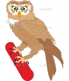 OWL3