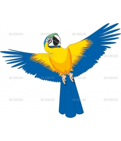 PARROT3