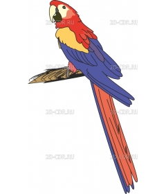 PARROT4