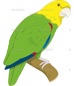 PARROTT