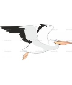 PELICAN2