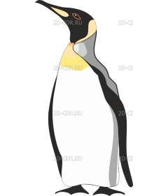 PENGUIN2