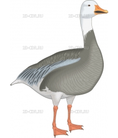 S_GOOSE