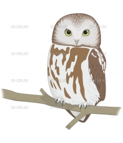 SAW_OWL