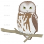 Векторный клипарт «SAW_OWL»