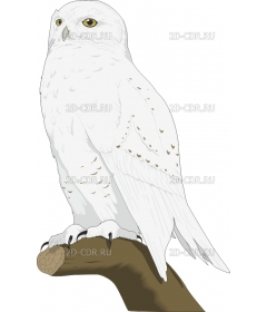 SNOWYOWL