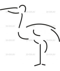 STORK_I