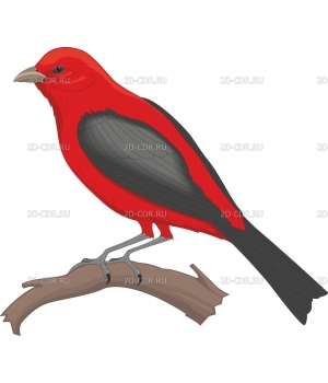 TANAGER
