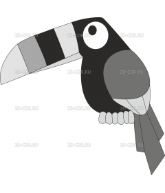 TOUCAN3