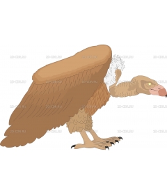 VULTURE