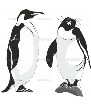 Пингвин (1)