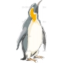 Векторный клипарт «Пингвин (3)»