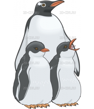 Пингвин (4)