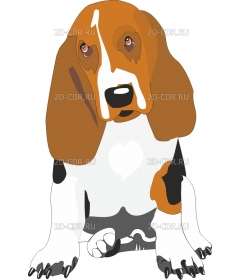 BASSET_H