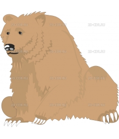 BEAR1