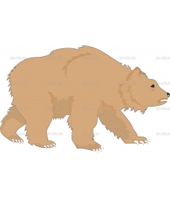 BEAR2