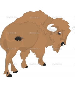 BISON