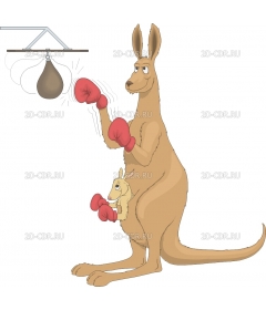 BOXKANGA