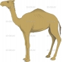 Векторный клипарт «CAMEL»