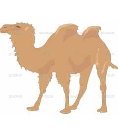 CAMEL3