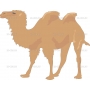 Векторный клипарт «CAMEL3»
