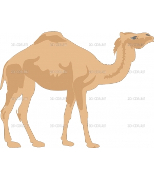 CAMEL4