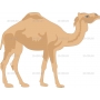 Векторный клипарт «CAMEL4»