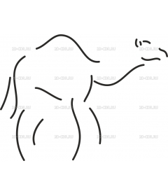 CAMEL_I