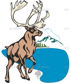 CARIBOU