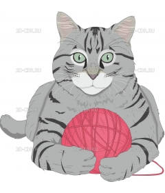 CAT_YARN