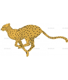 CHEETAH