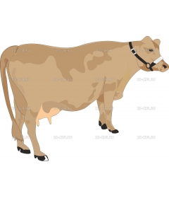 COW1