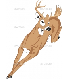 DEER1