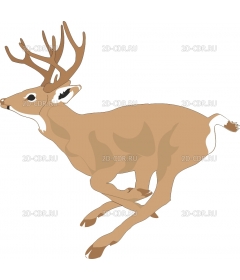 DEER2