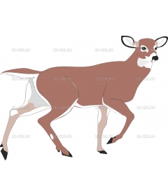 DEER3