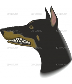 DOBERMAN