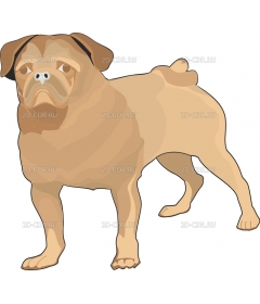 DOG03