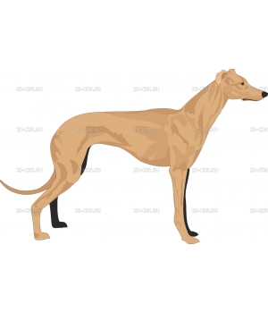 DOG05